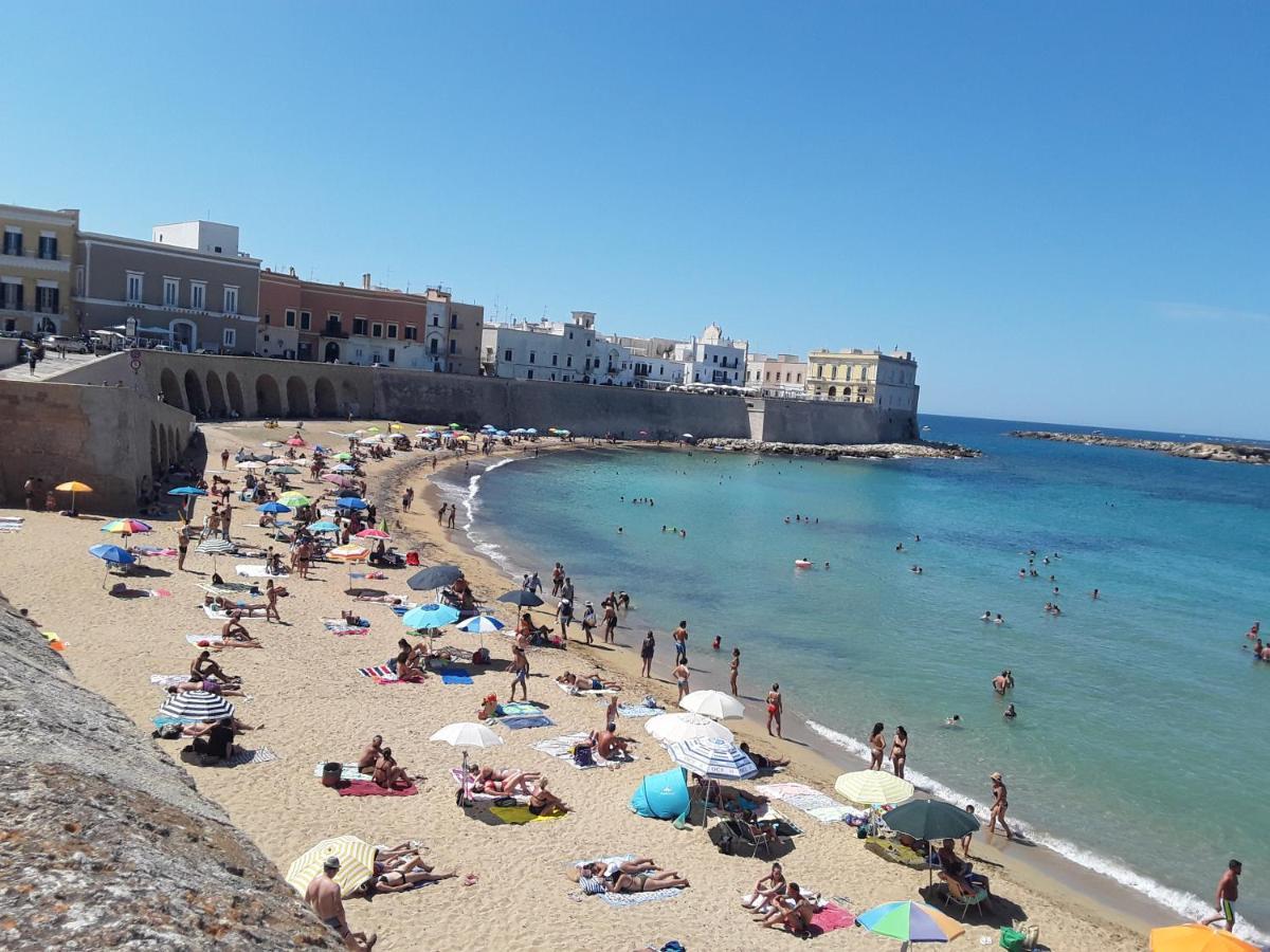 Alaka 2 Appartement